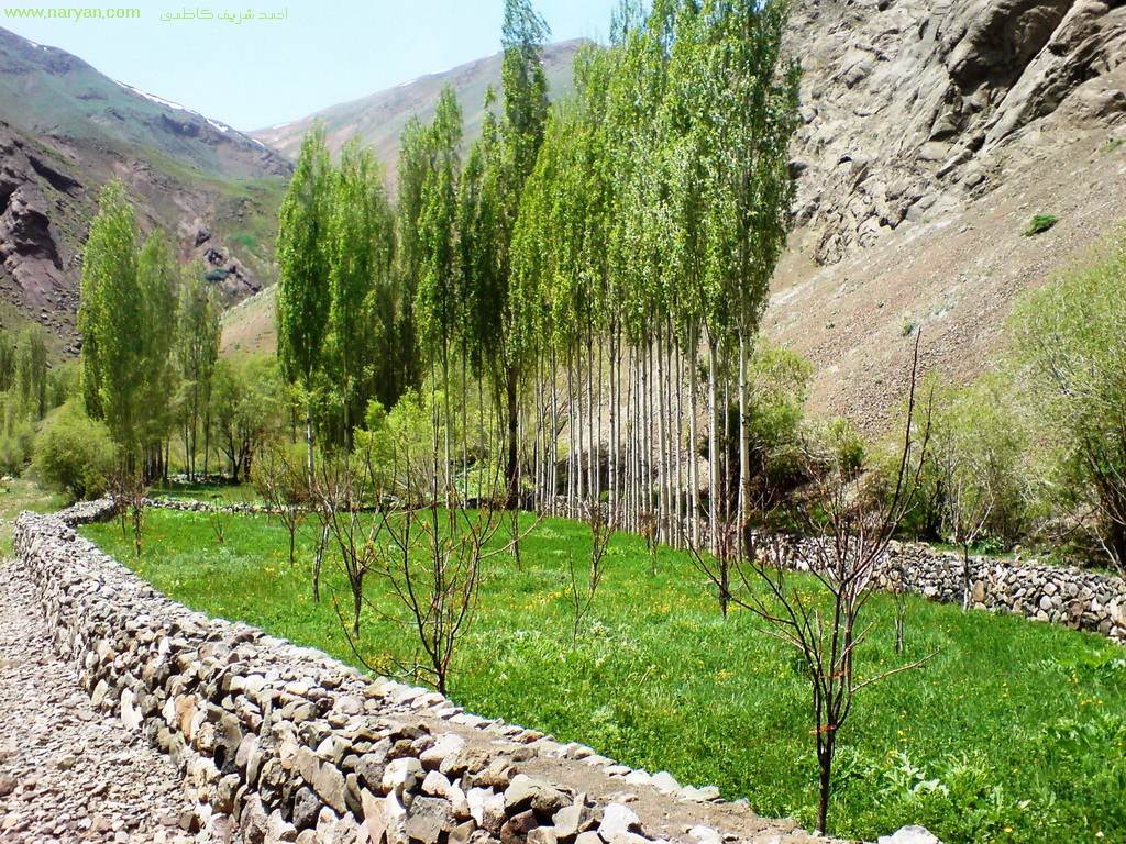 AhmadSharifKazemi1393 (20).jpg